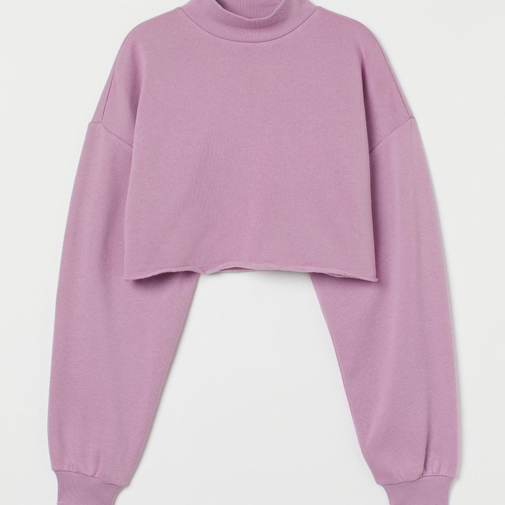 H&M Cropped Lavender Sweatshirt